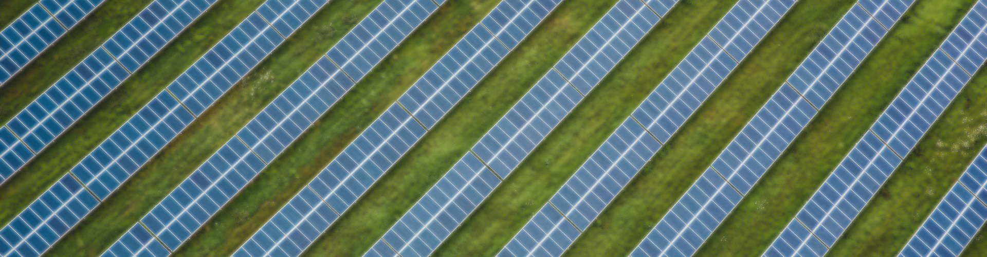 painéis solares sobre um terreno verde