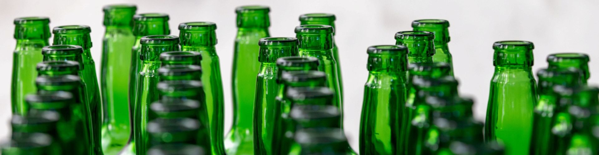 fileiras de garrafas verdes