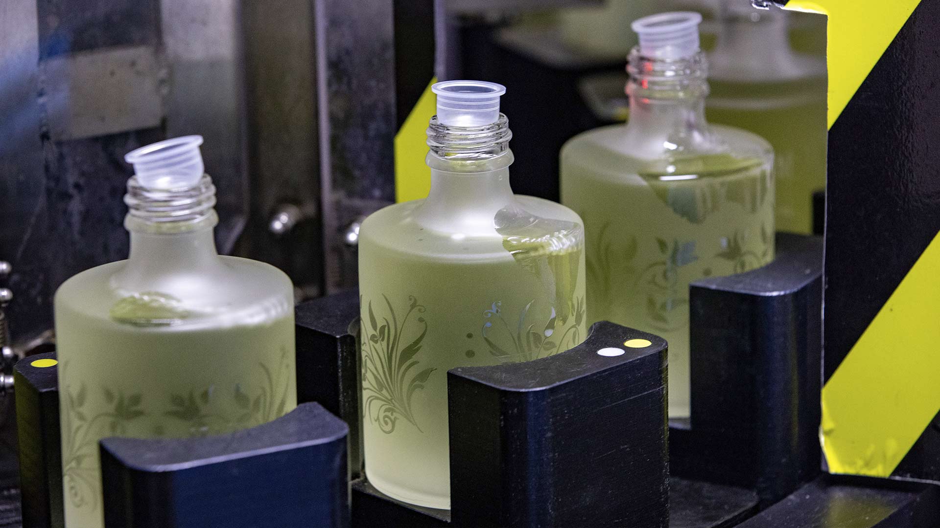 Perfumes da marca