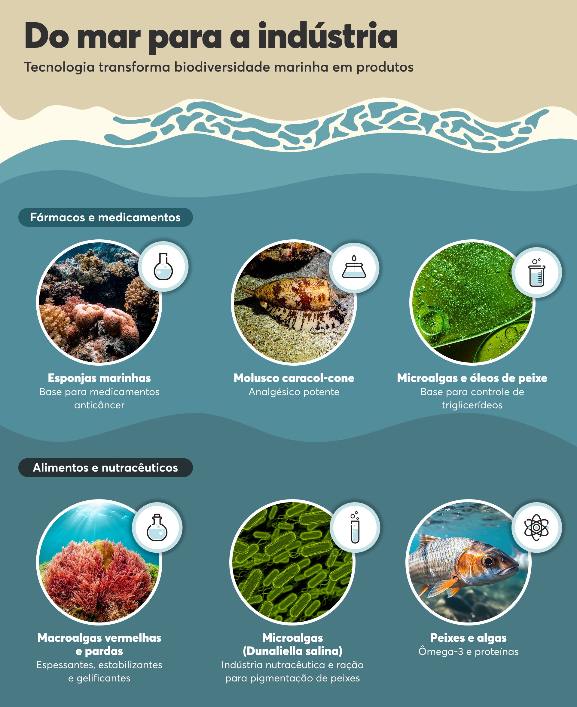 infográfico com ilustrações das origenes de bioprodutos