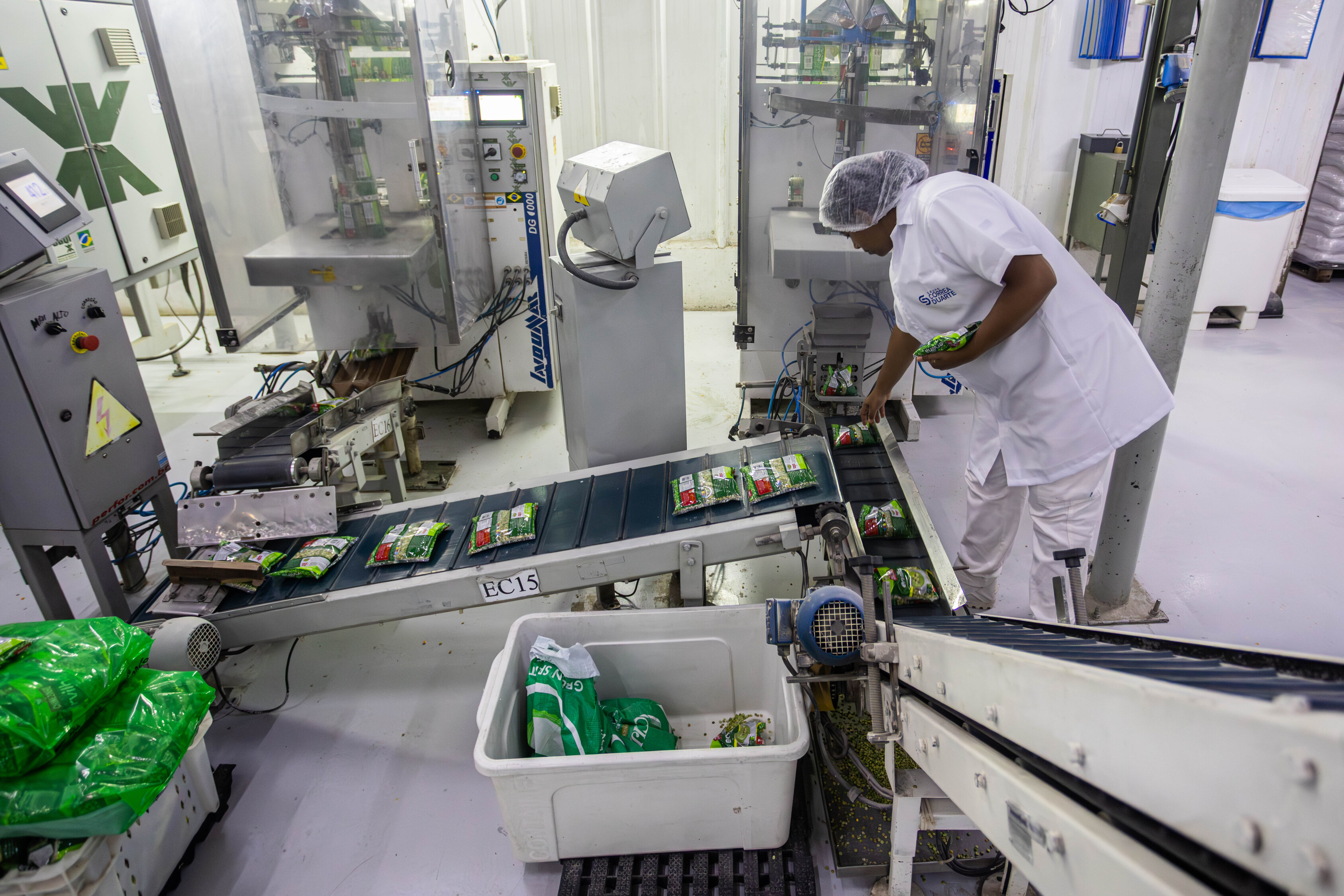 Trabalhadora com uniforme branco organiza embalagens verdes de alimentos em uma esteira industrial de empacotamento.