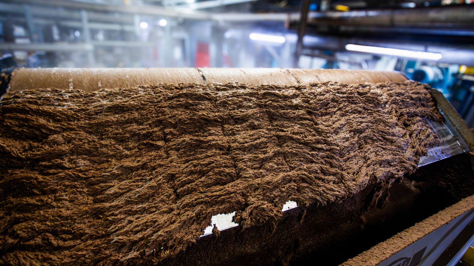 Logística reversa: o papel que se acumularia em aterros e na natureza é coletado por meio de catadores ou diretamente nas empresas e indústrias que fariam o descarte