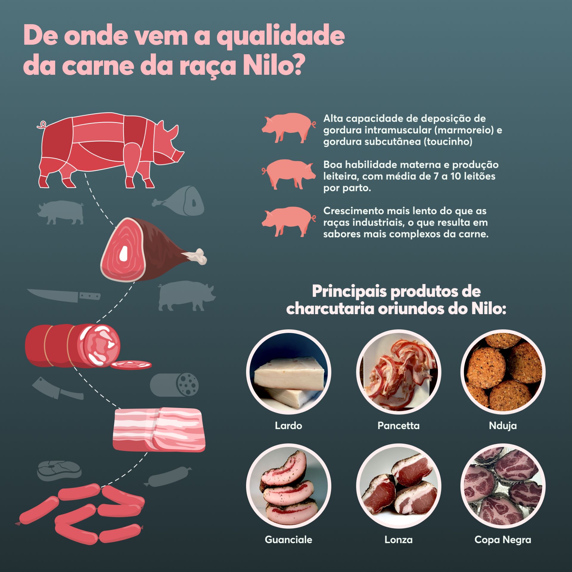 infográfico produtos da charcutaria